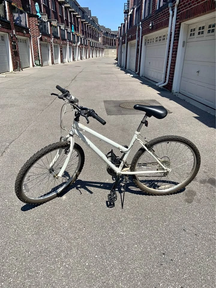 White Mountain Bike