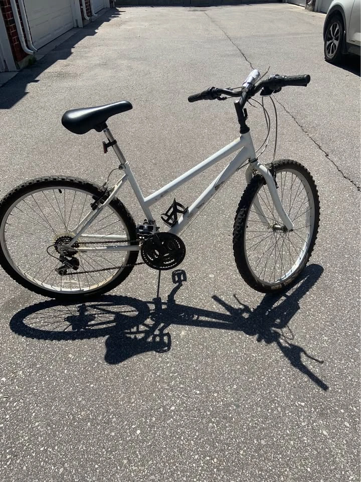 White Mountain Bike - photo 3