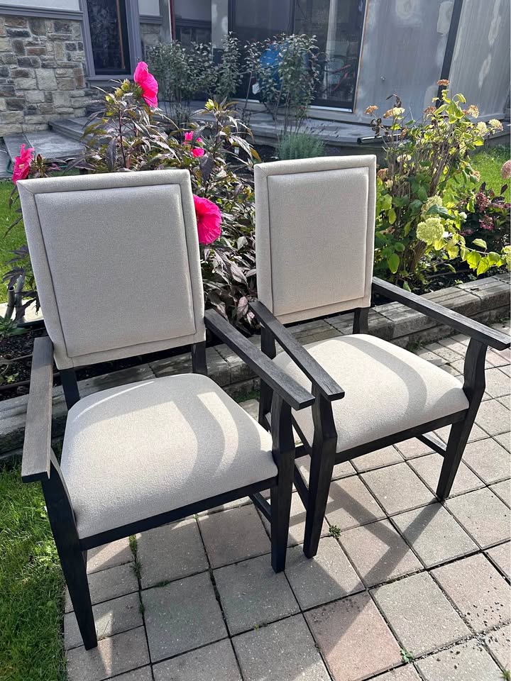 Brand New Dinning arm chairs (set of 2)