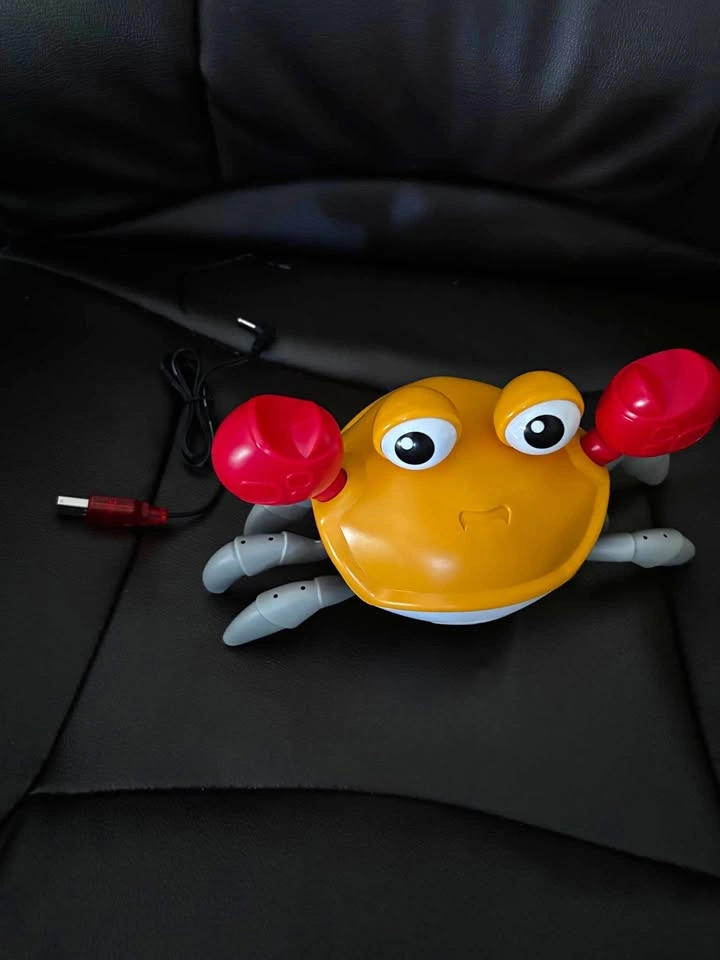 Cute Crab Electric Induction Toy