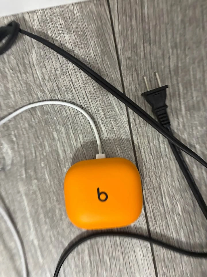Beats Powerbeats Pro Wireless Earbuds