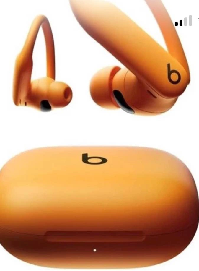 Beats Powerbeats Pro Wireless Earbuds - photo 2