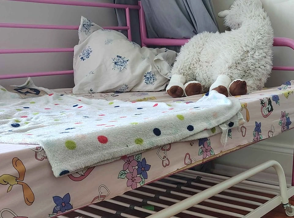 Pink Metal Daybed with Trundle