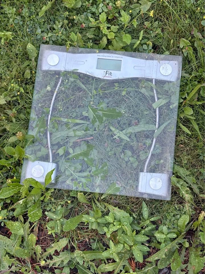 Weighing Scale