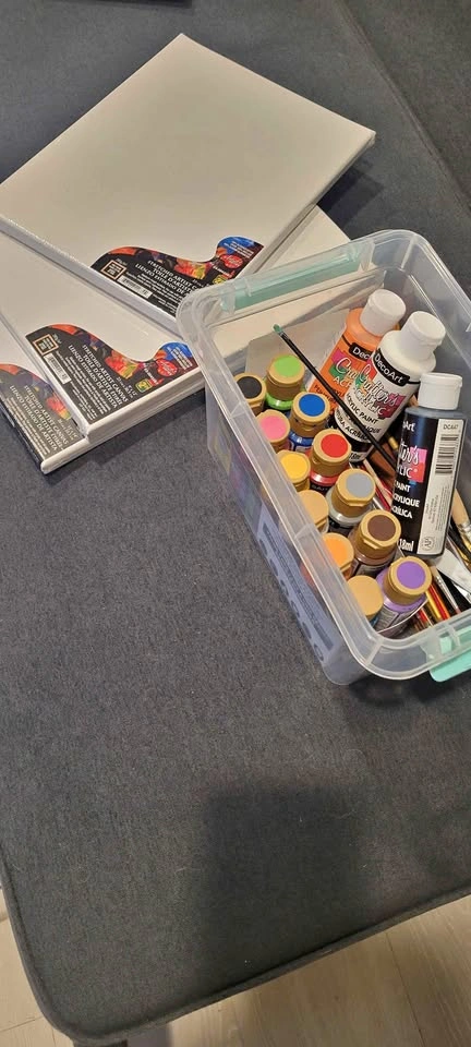 Acrylic Paint Set + brushes + 3 canvases