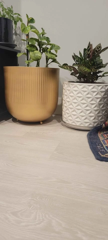 Indoor Houseplant Collection with Decorative Pots - photo 3