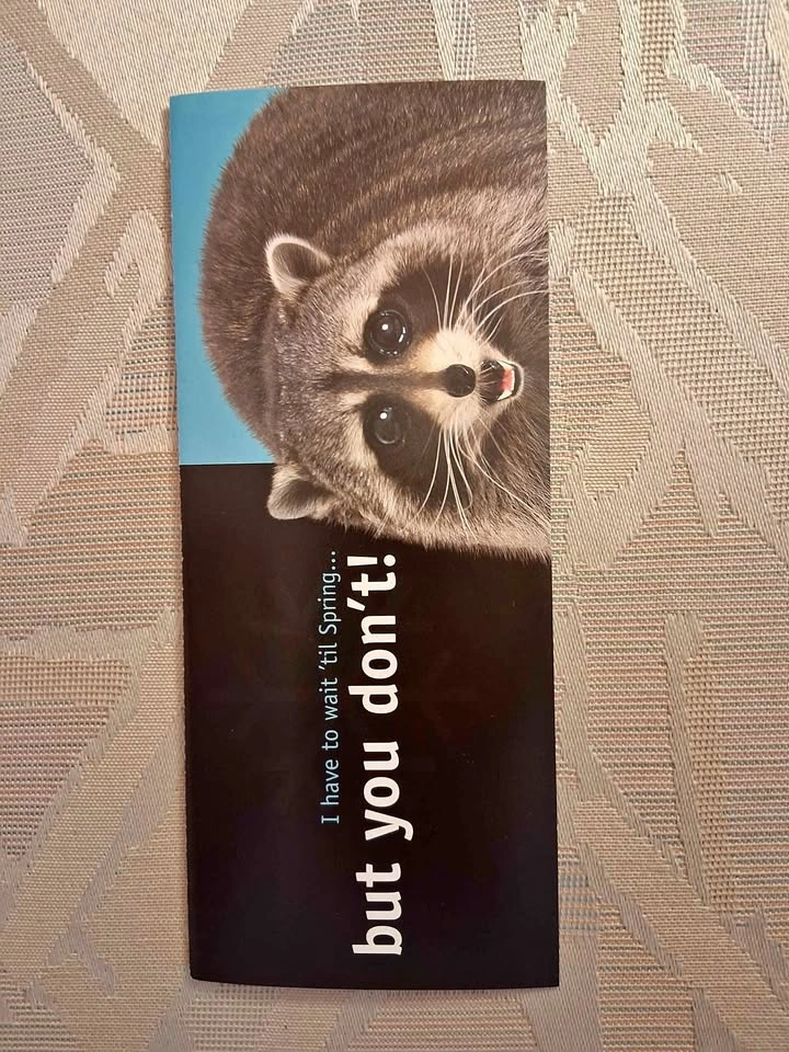 Vintage 1996 Merit Lawn Care Advertising Flyer Ephemera