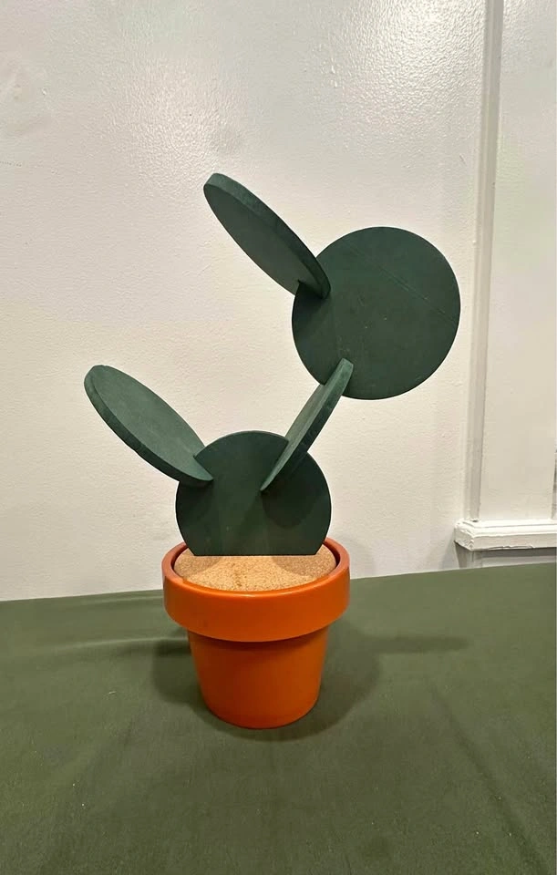 6-piece Cactus coaster set!