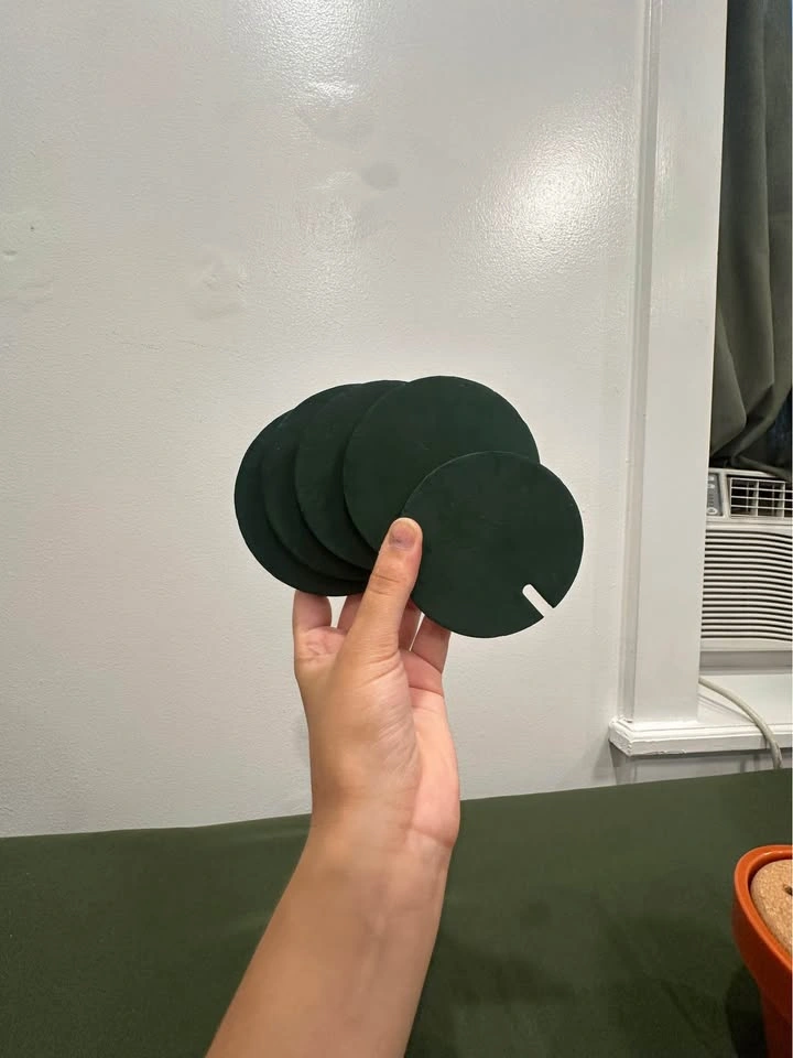 6-piece Cactus coaster set! - photo 2