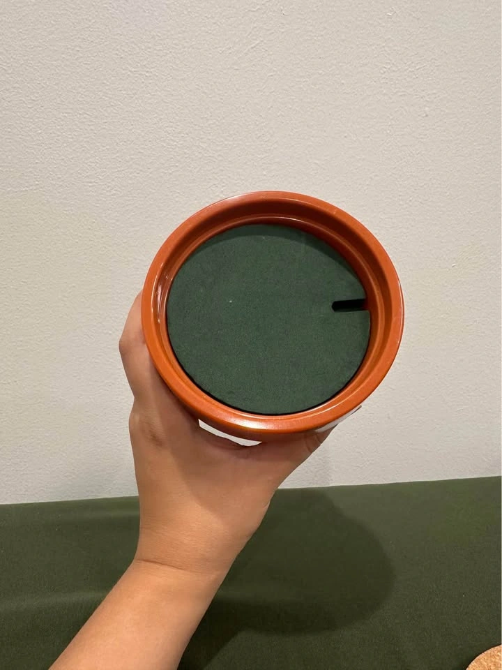 6-piece Cactus coaster set! - photo 4