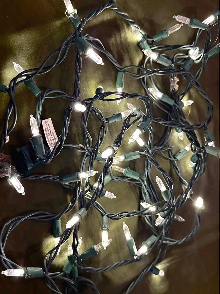 LED Lights / 9-10ft