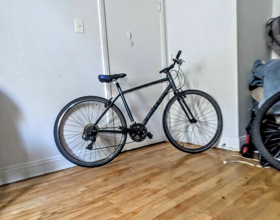 Giant Escape Hybrid Bike