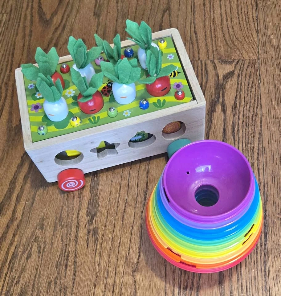 Baby stacking/sorting toys