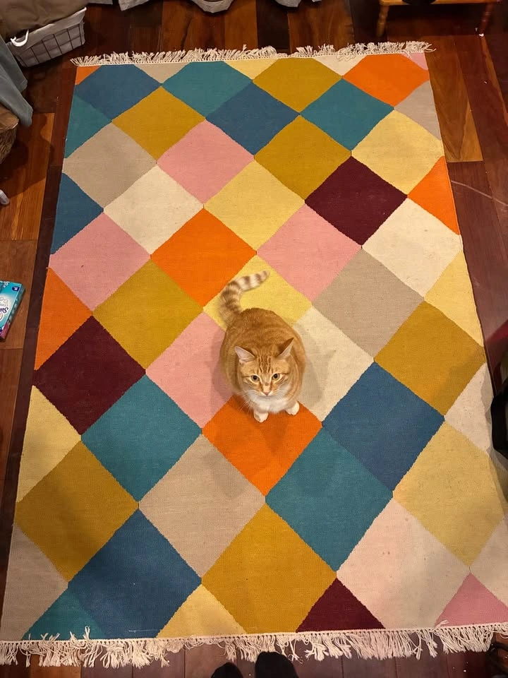 Handwoven Rug - 4'4"x6'5" - photo 4