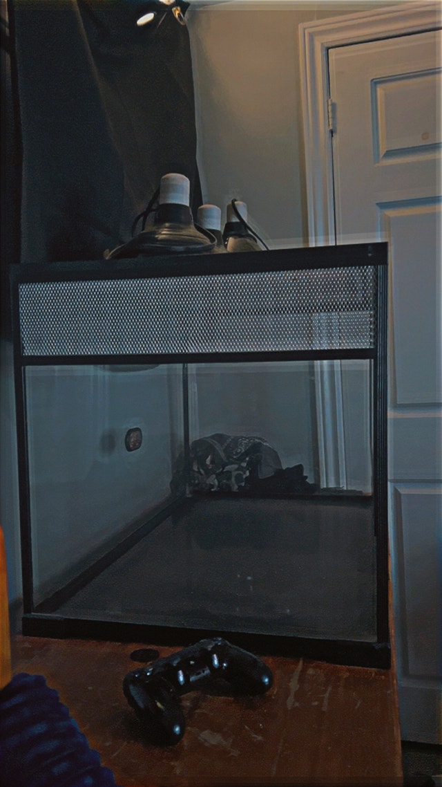 Reptile Tank / Enclosure - photo 2