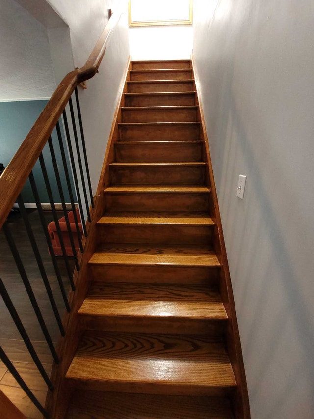 3 Bed | 1 Bath | 3+ Parking | Large yard - photo 4