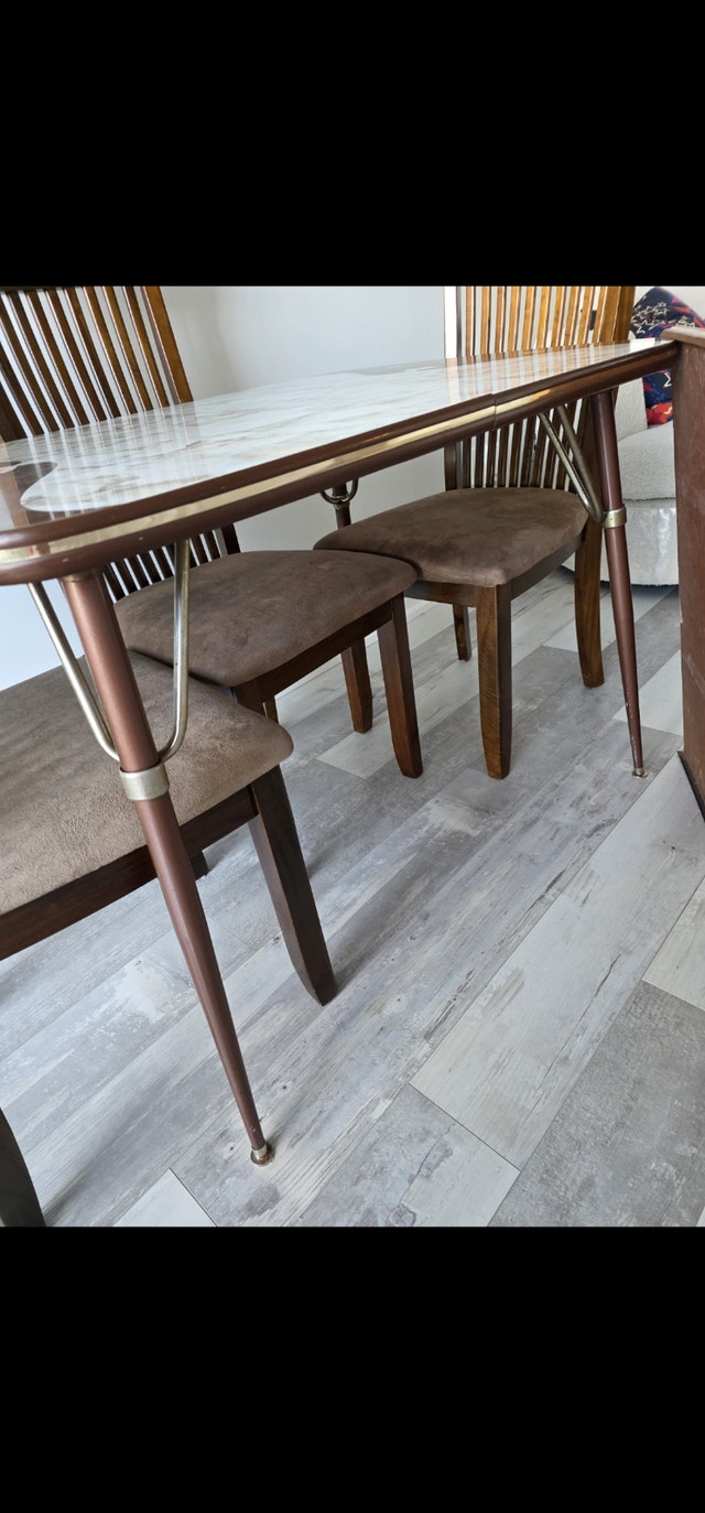 Truly Vintage Dining Set - 6 or 8 people - photo 5