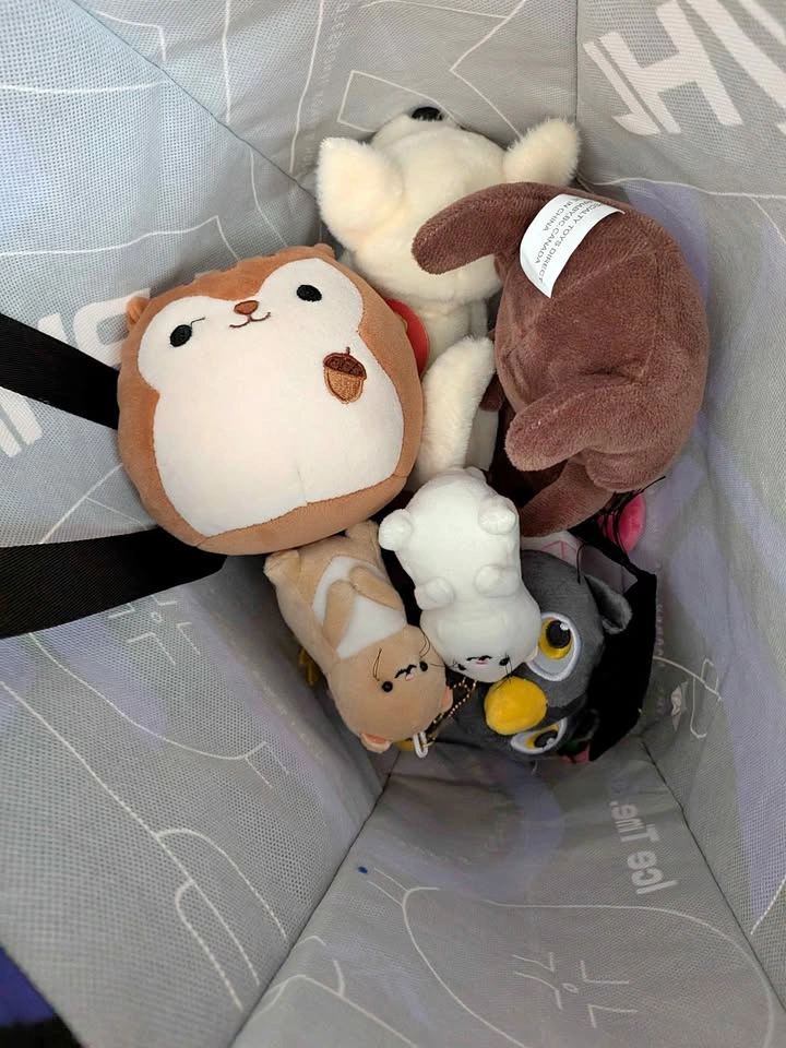 Bag of stuffies (4)