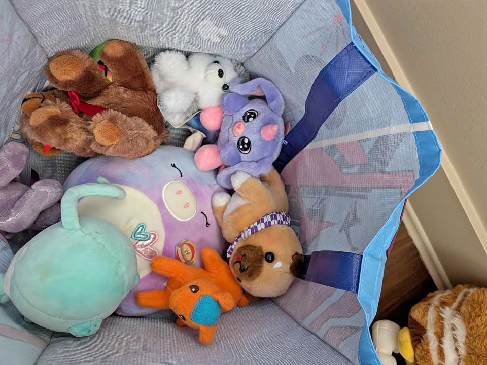 Bag of stuffies (3)