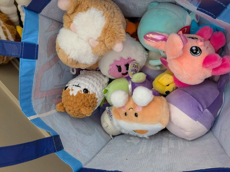 Bag of stuffies (3) - photo 2