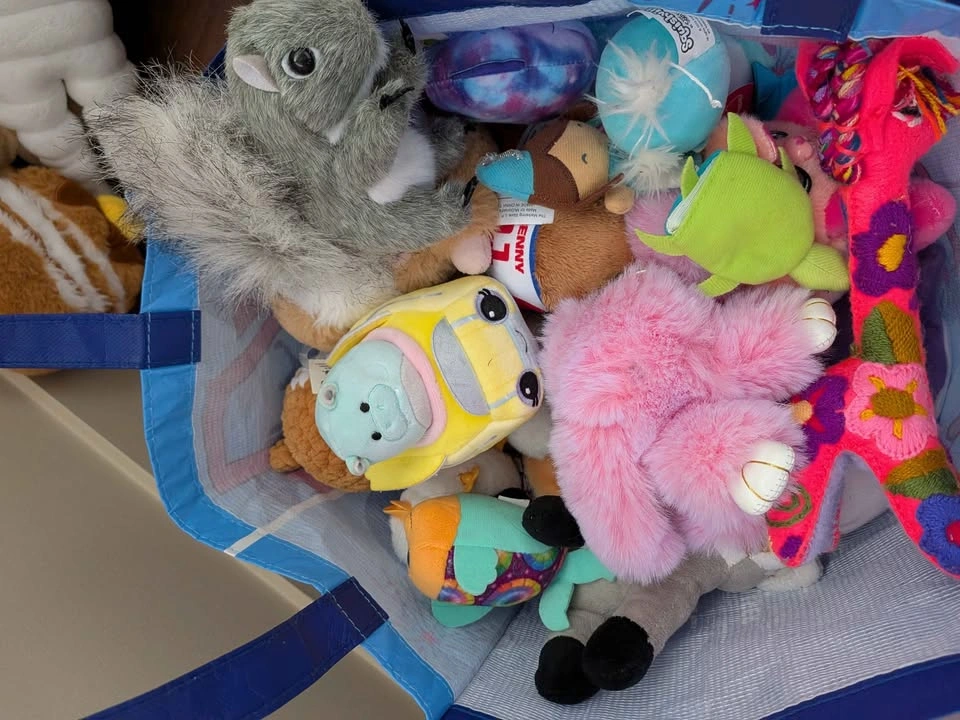 Bag of stuffies (3) - photo 3