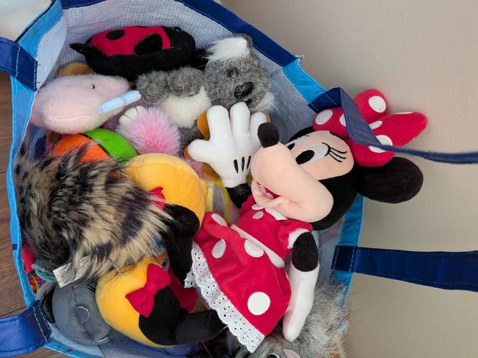 Bag of stuffies (3) - photo 4