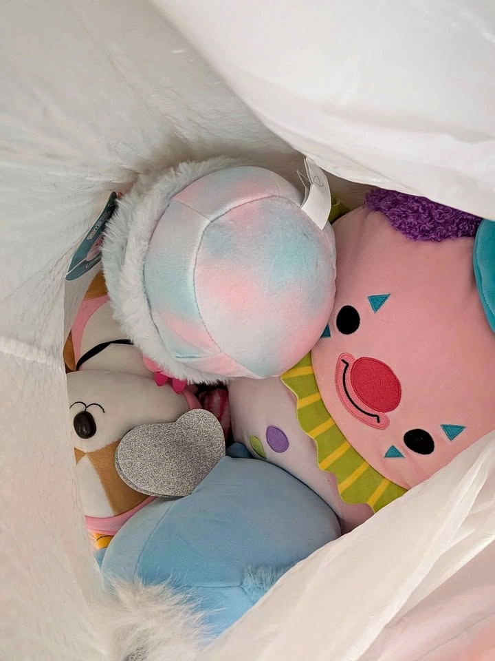 Bag of stuffies (2)