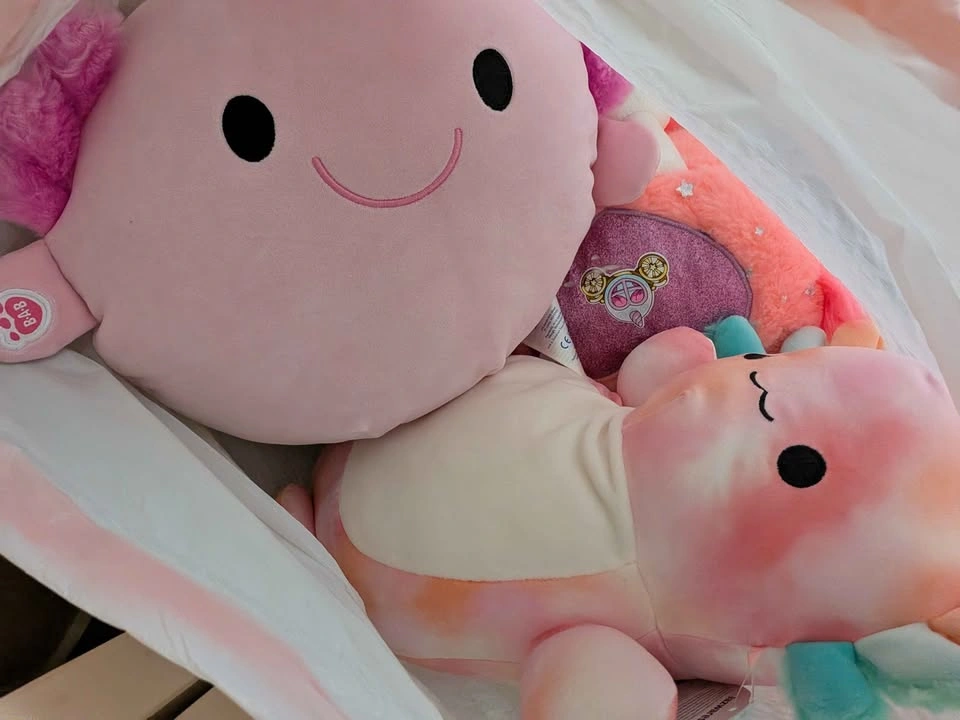 Bag of stuffies (2) - photo 2