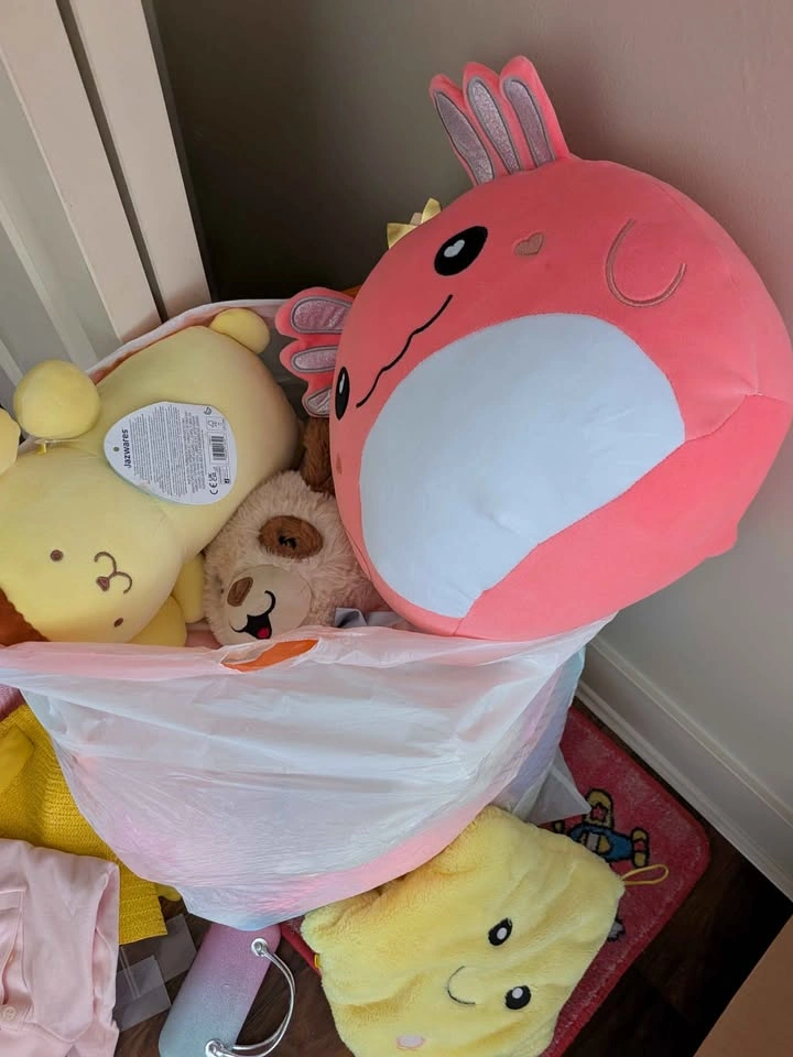 Bag of stuffies (2) - photo 3
