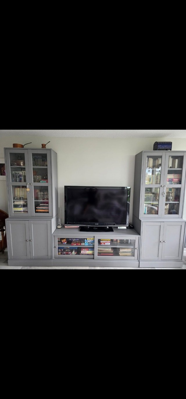 IKEA HAVSTA TV Storage Combination Unit - Glass Doors (Grey)