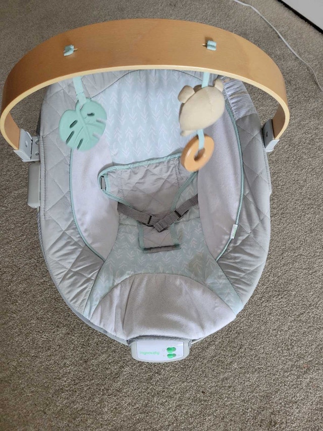Baby Bouncer Chair