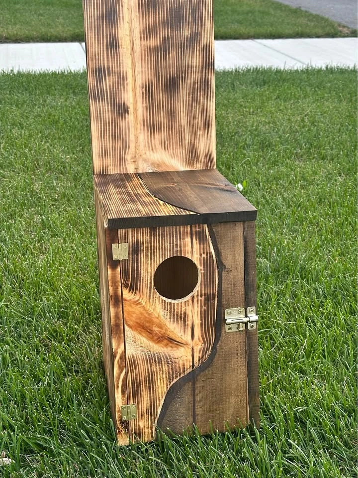 Owl box, handmade custom