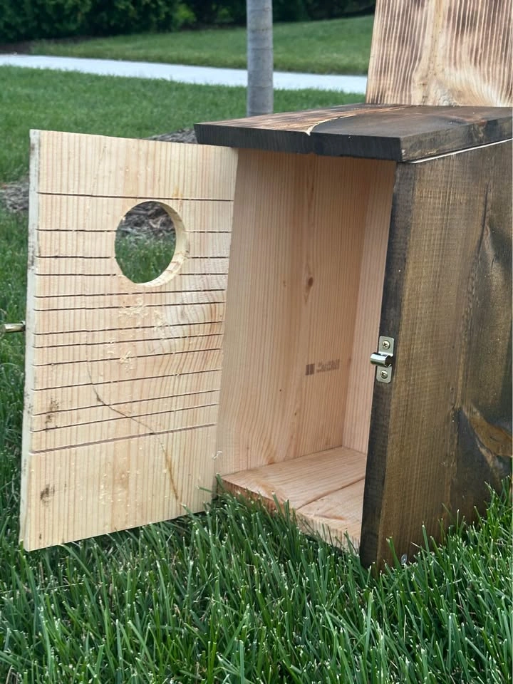 Owl box, handmade custom - photo 2