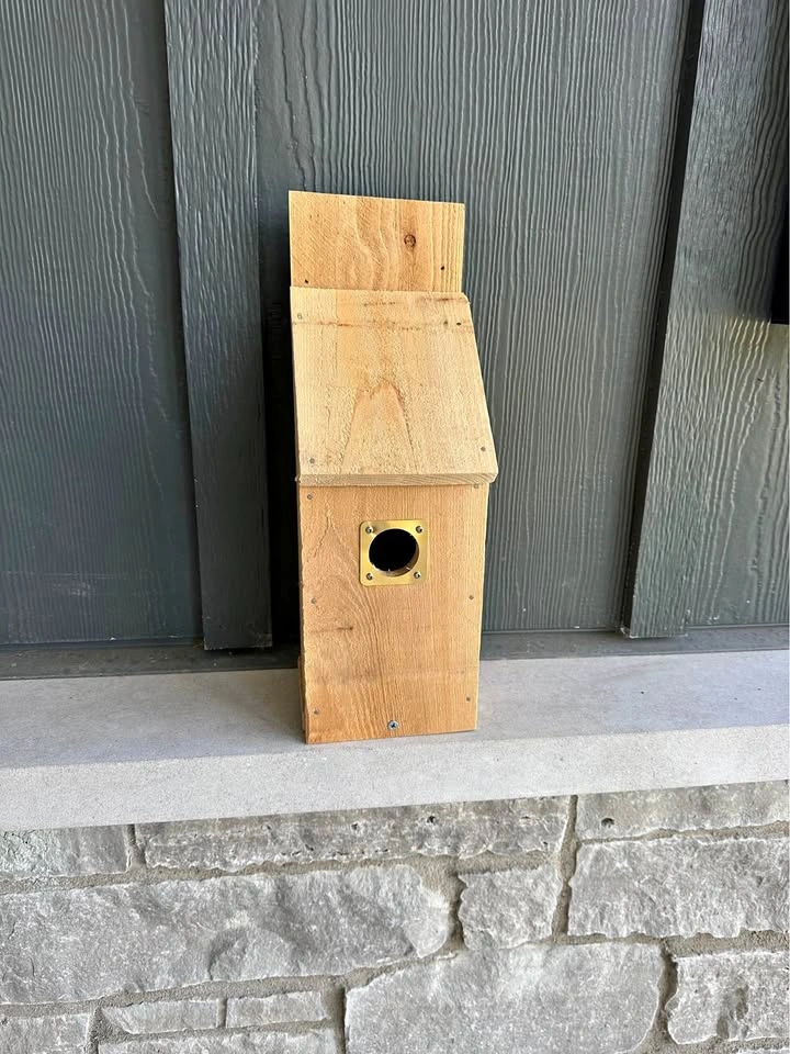 Cedar birdhouse with predator guard, handmade