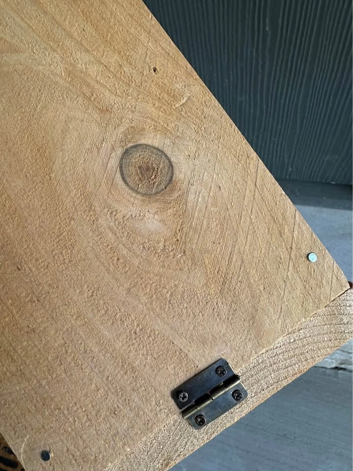 Cedar birdhouse with predator guard, handmade - photo 4