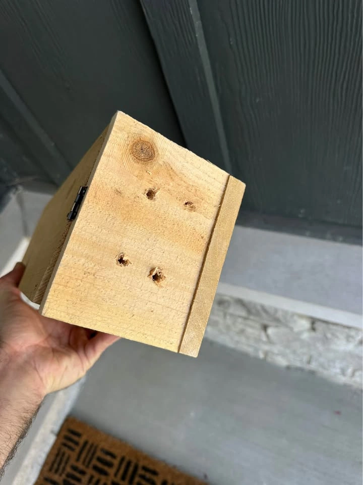 Cedar birdhouse with predator guard, handmade - photo 5