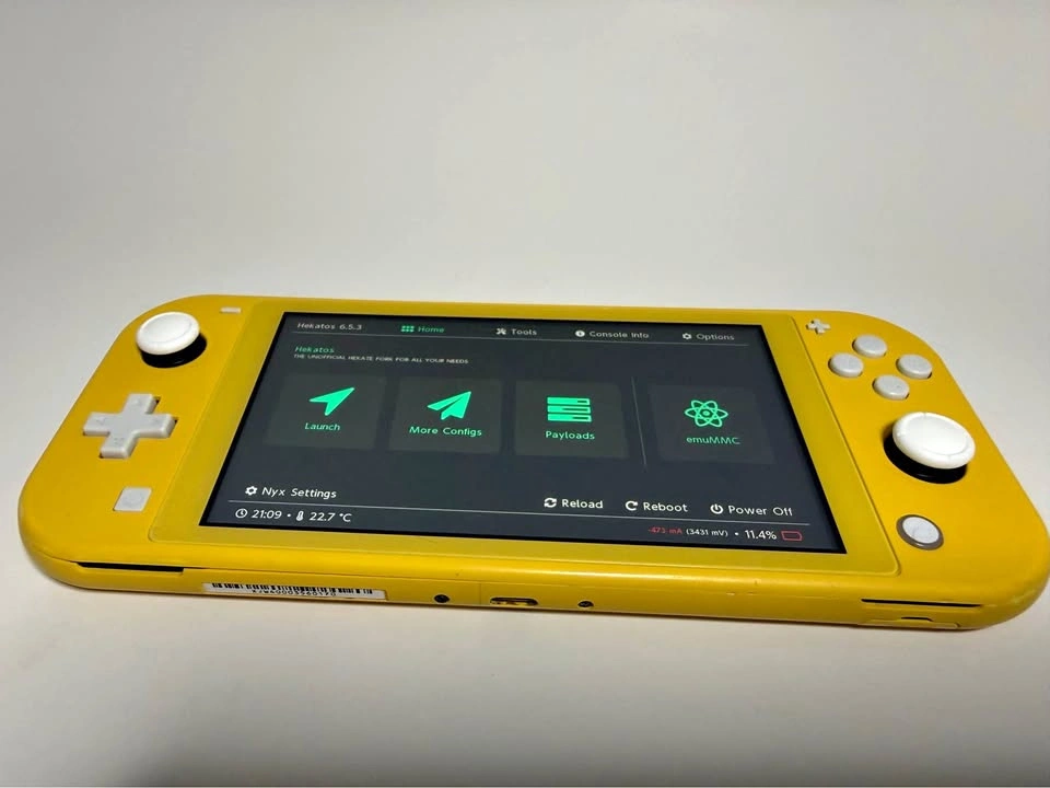 Modded Nintendo Switch Lite - Read Desc