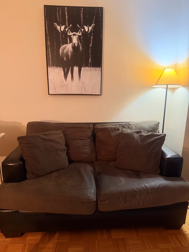 Faux Leather Loveseat Sofa