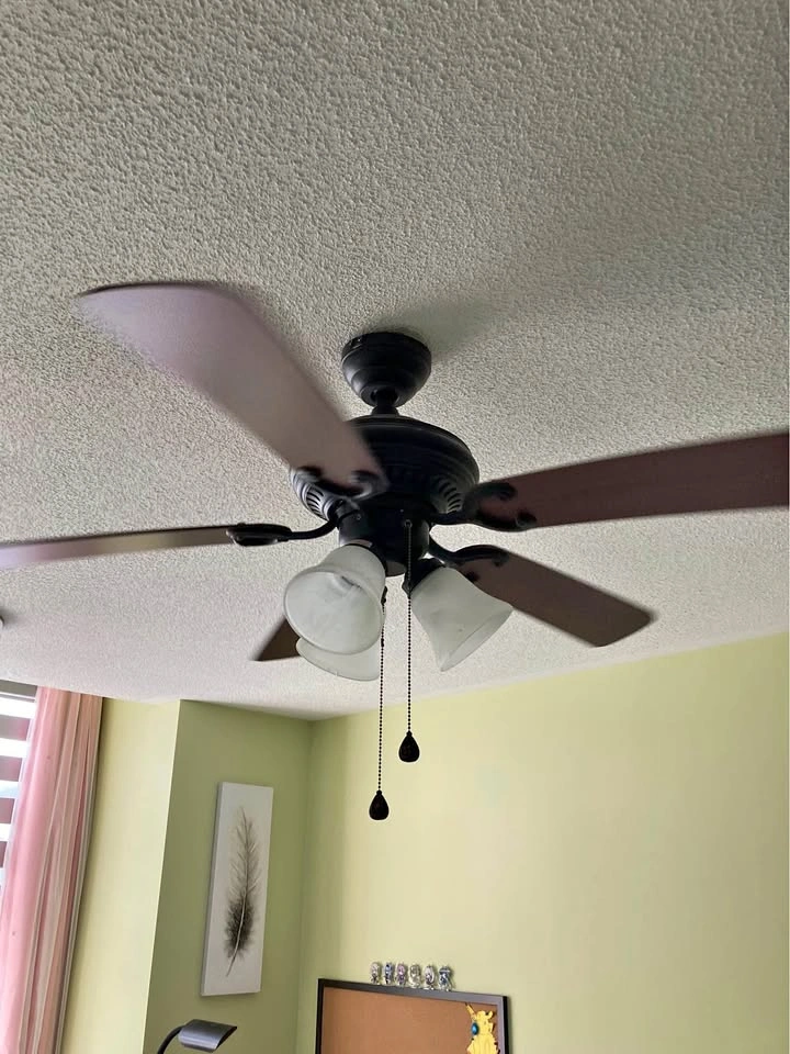 Harbour Breeze 42” fan with remote and lights