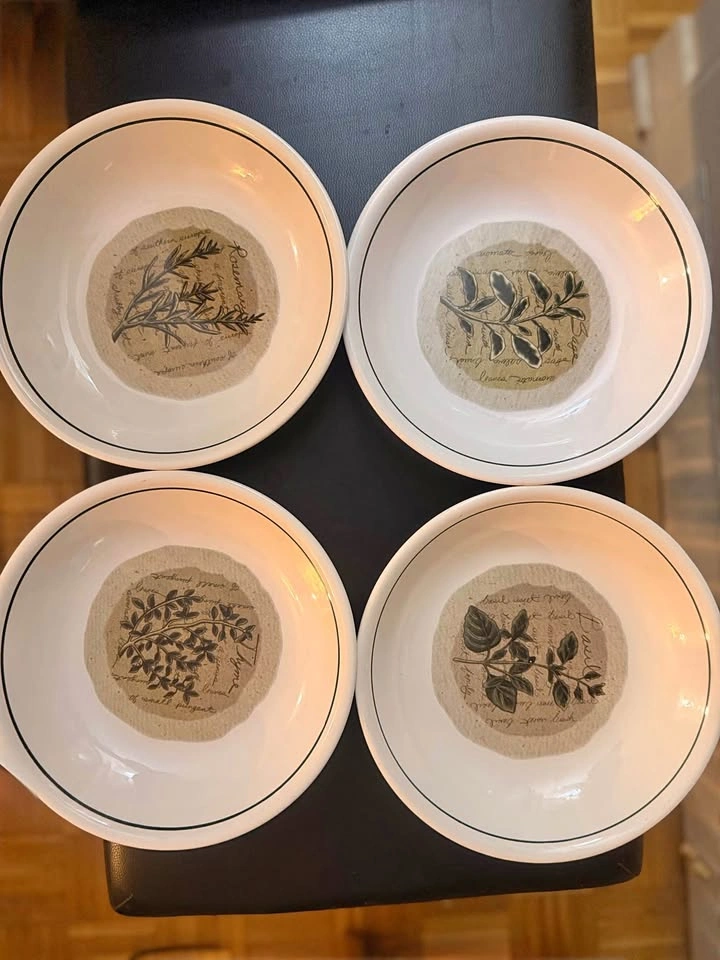 Vintage Counceltron Savory Tyme Pasta Bowls - Set of 4