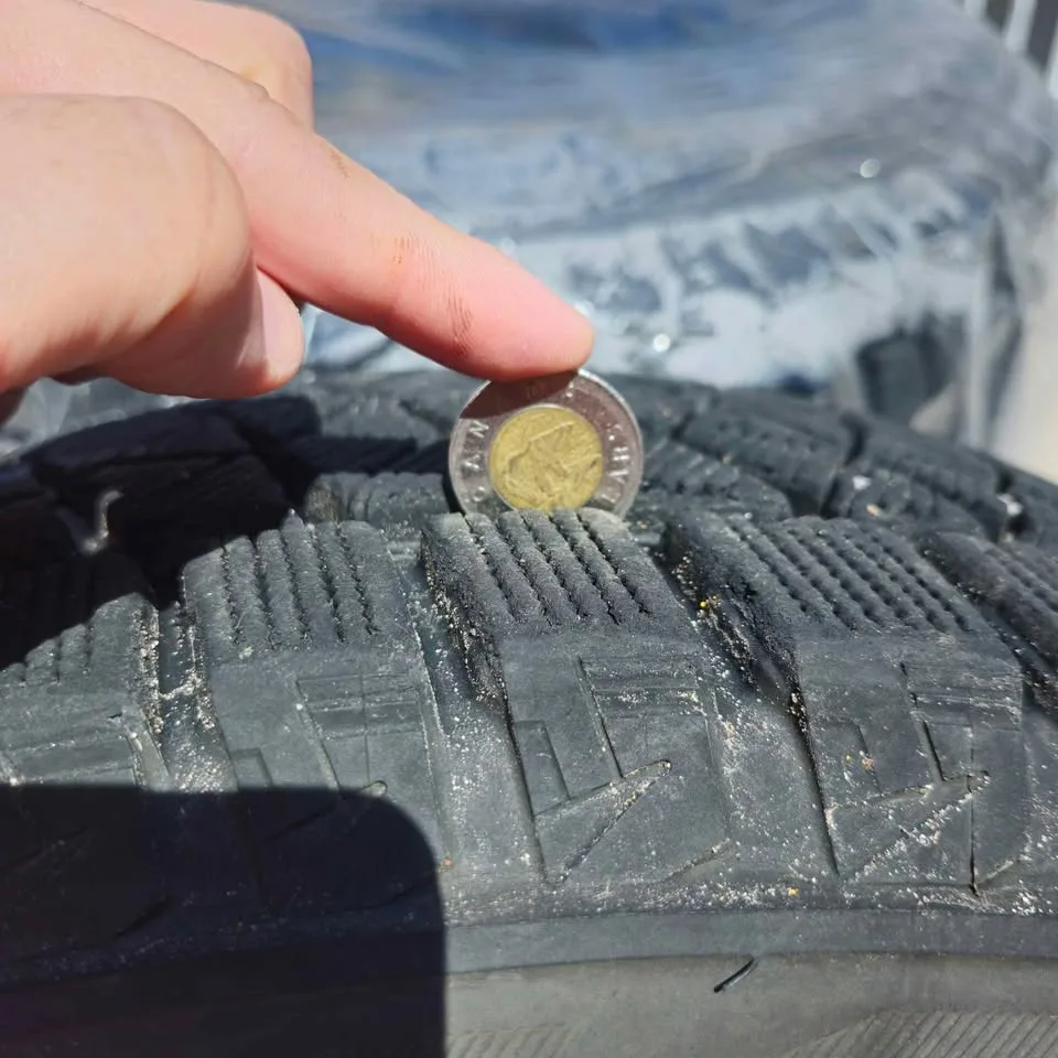 Winter Tires - Bridgestone Blizzak DM-V2 (235/65R17) image indicator(4)