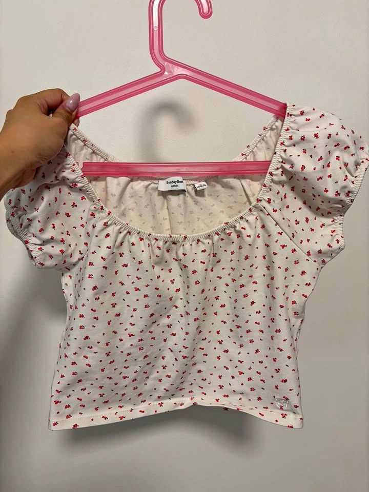 Aritzia Sunday Best crop top
