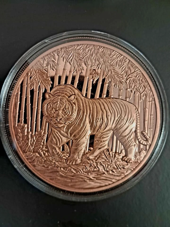 Lot of 4 – 5 oz .999 Fine Copper Collectible Rounds - photo 3