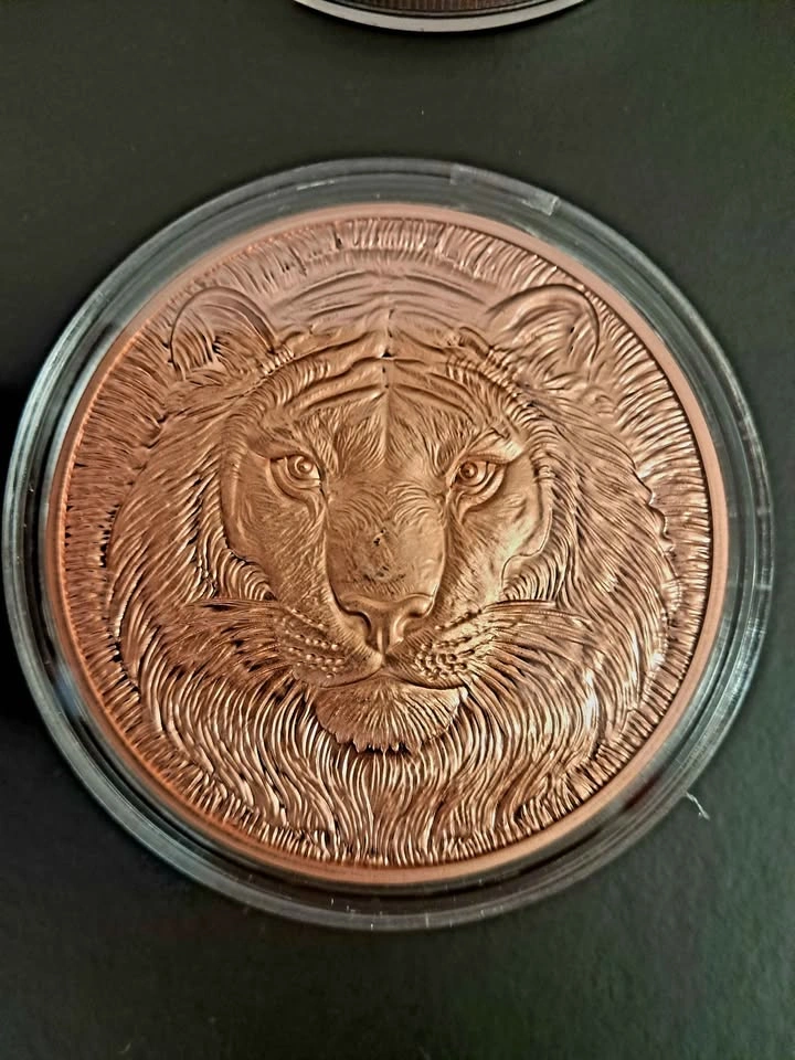 Lot of 4 – 5 oz .999 Fine Copper Collectible Rounds - photo 4