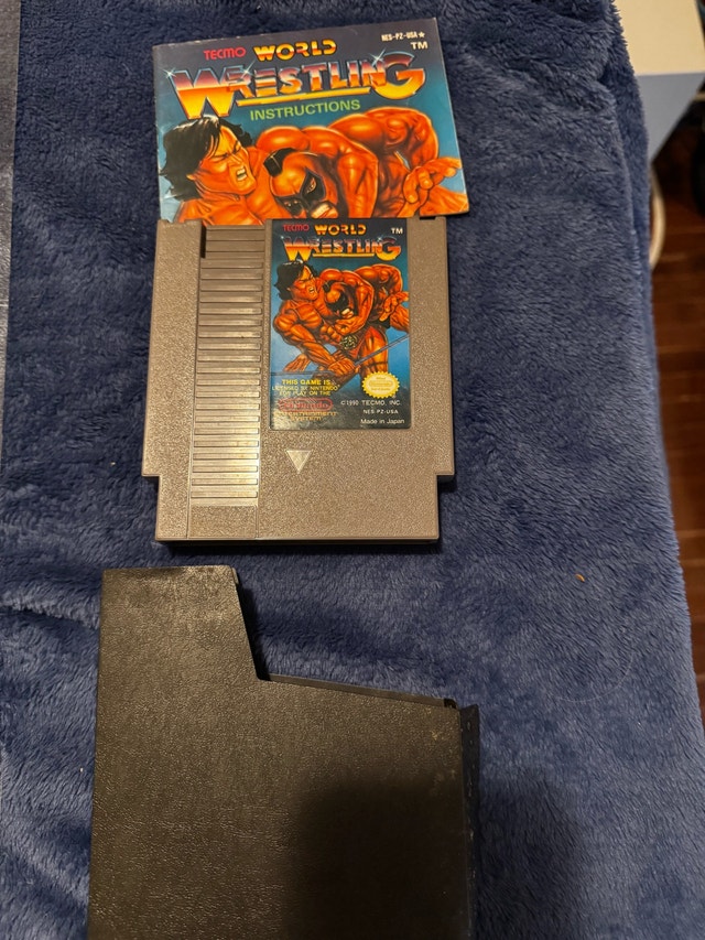 World Wrestling - NES