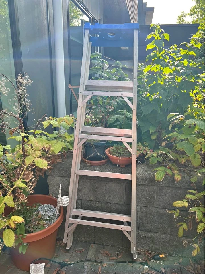 5ft Ladder