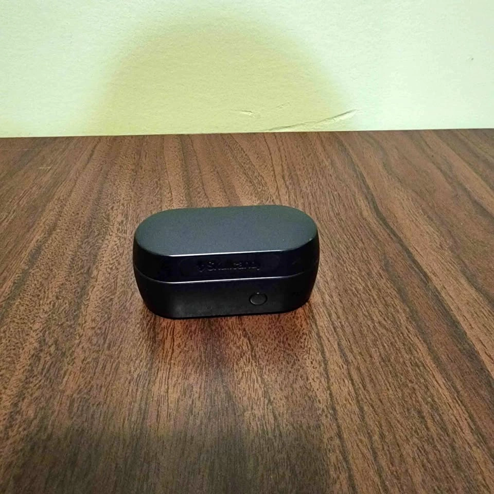 Skullcandy Sesh Evo True Wireless Earbuds with Charging Case