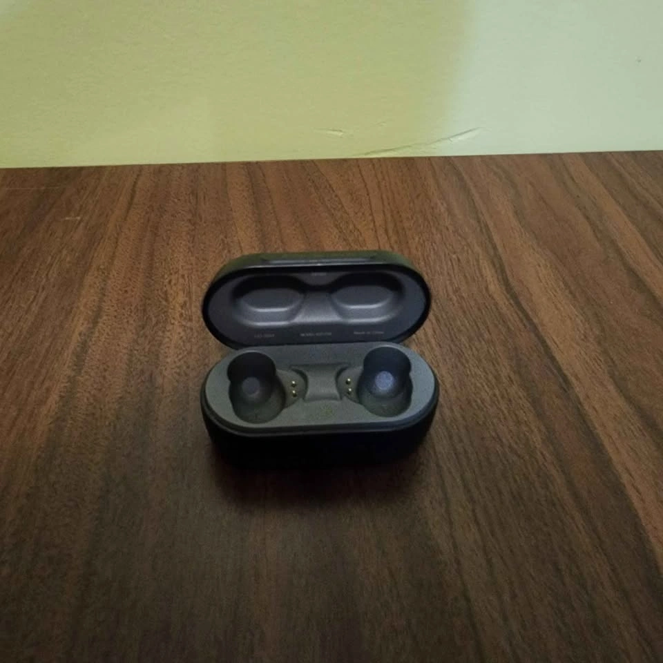 Skullcandy Sesh Evo True Wireless Earbuds with Charging Case - photo 2