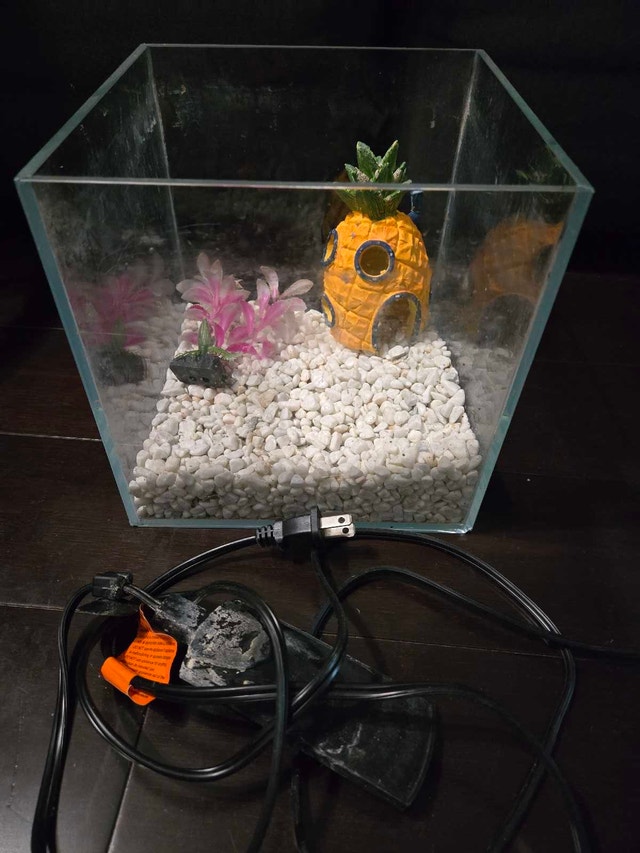 Glass Fish Tank with Pineapple Decor