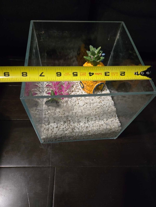 Glass Fish Tank with Pineapple Decor - photo 3